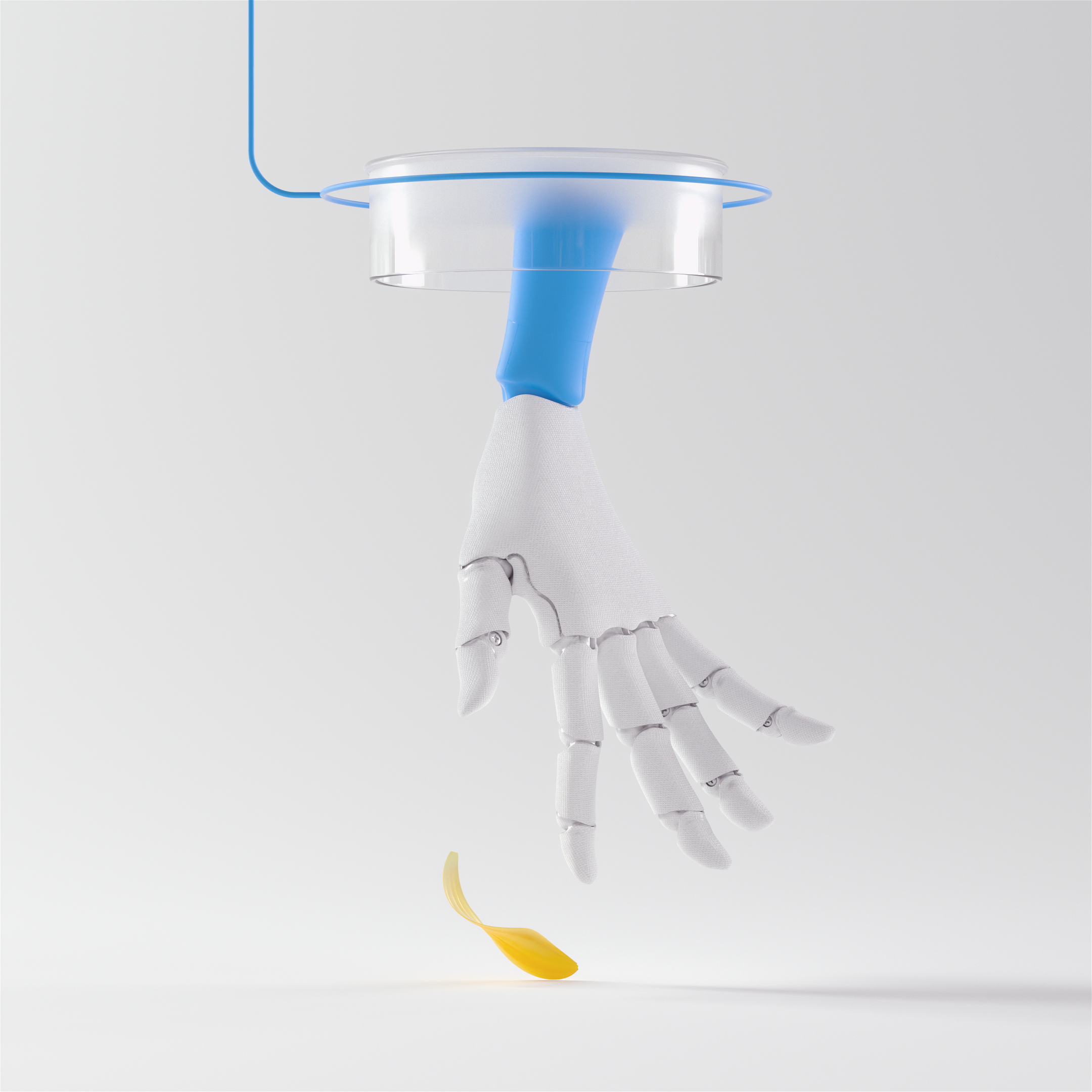 kiehls Calendula 11 3d animations for 3D animations parallel studio hand1