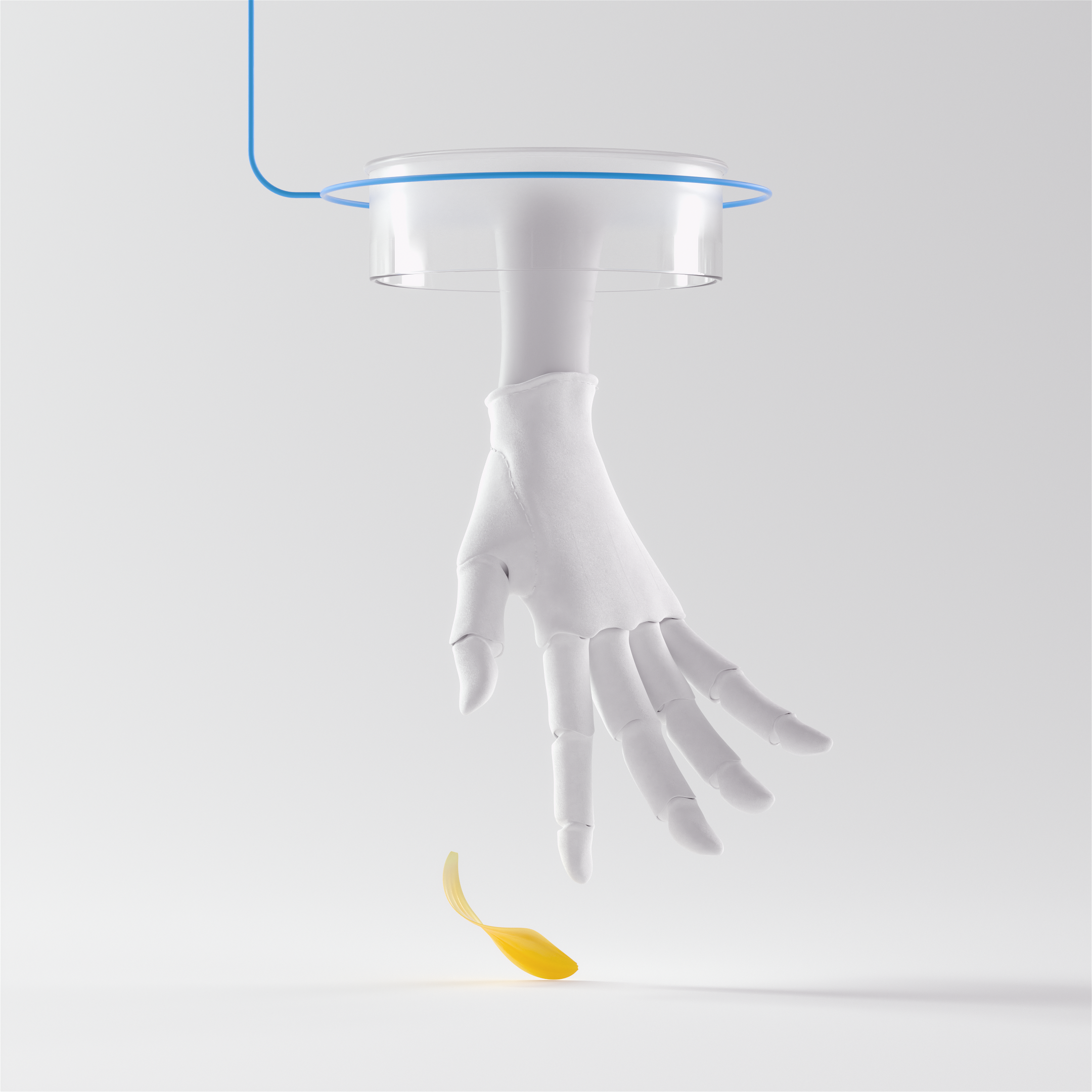 kiehls Calendula 11 3d animations for 3D animations parallel studio hand2