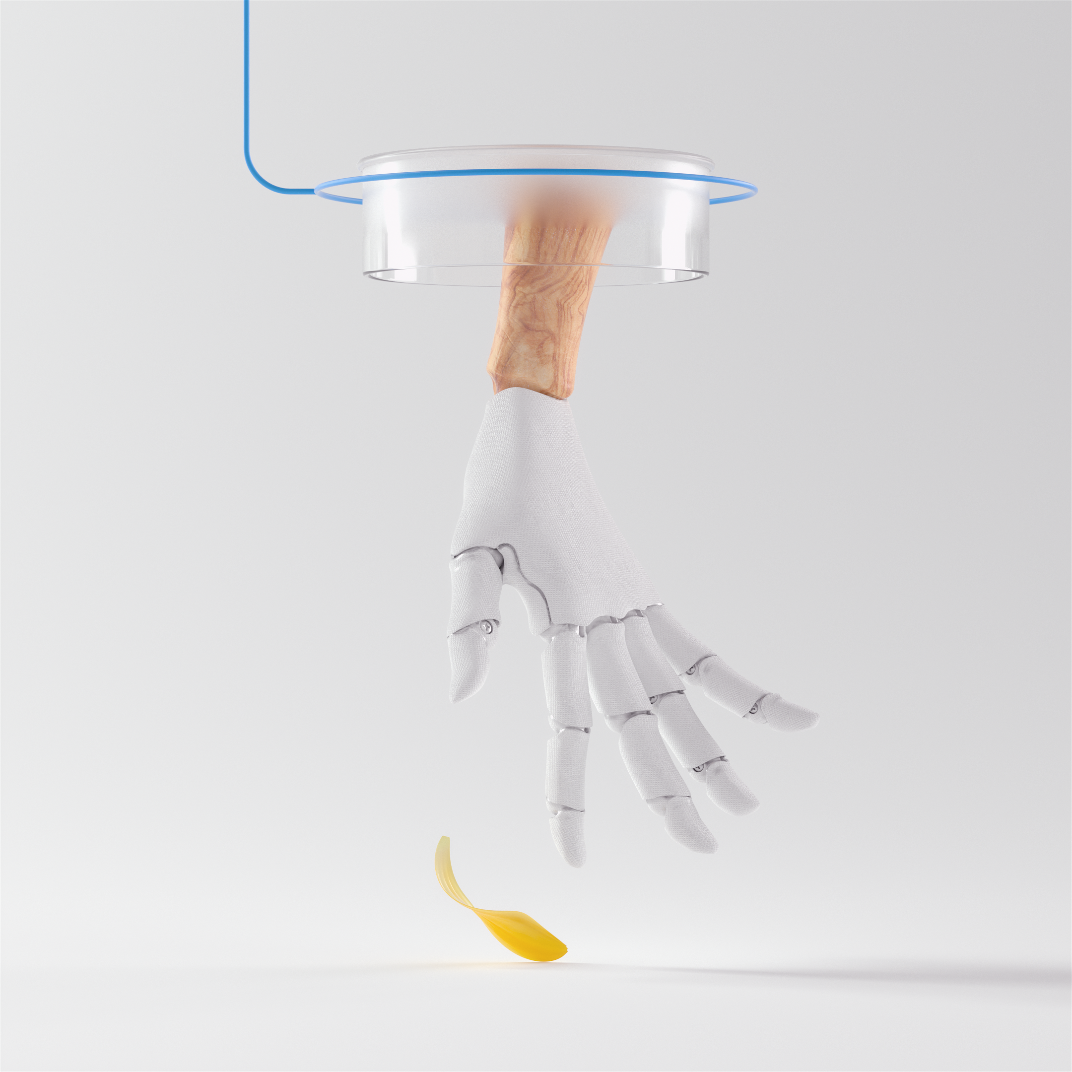 kiehls Calendula 11 3d animations for 3D animations parallel studio hand3