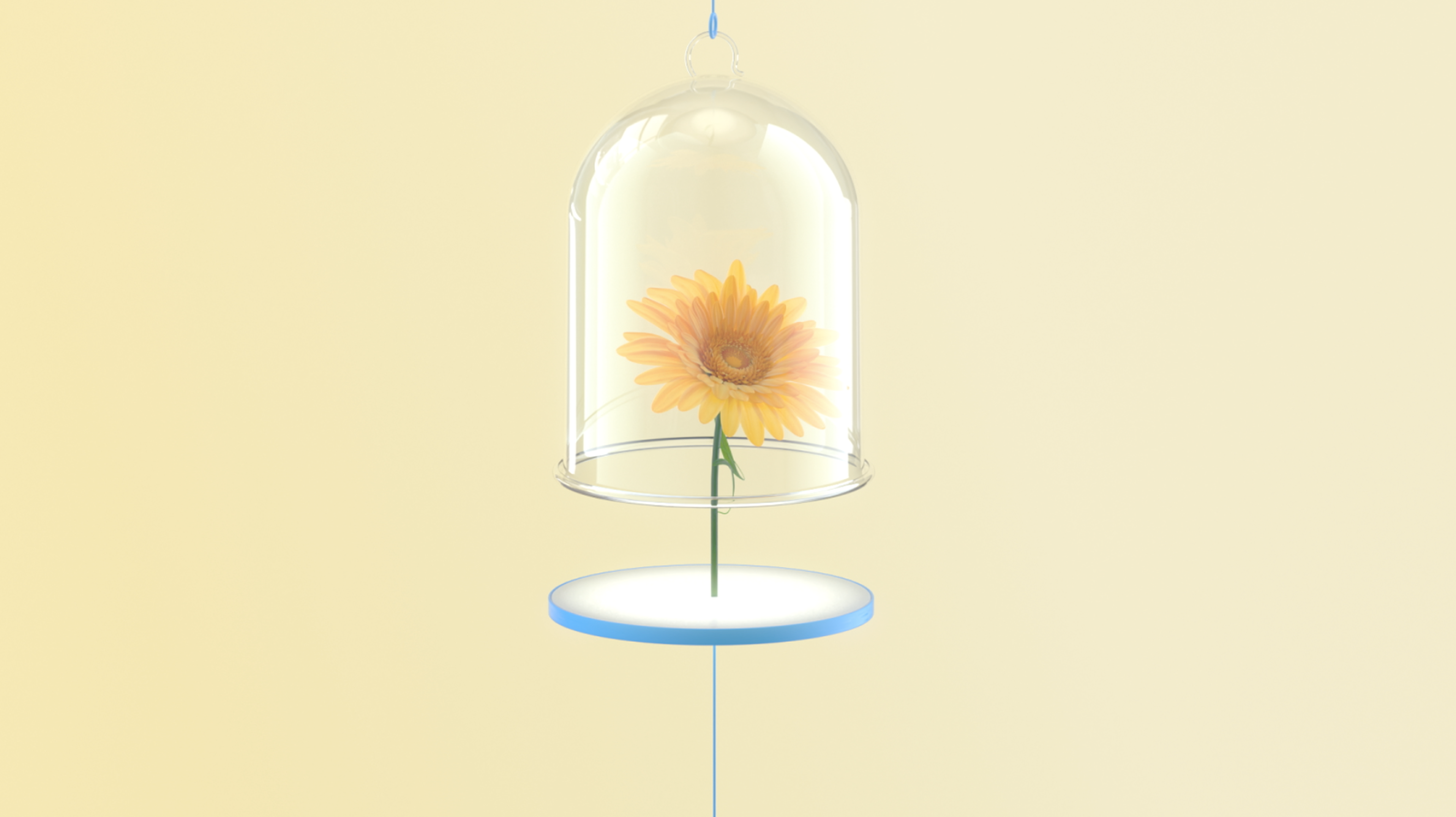 kiehls Calendula 11 3d animations for 3D animations parallel studio kv4