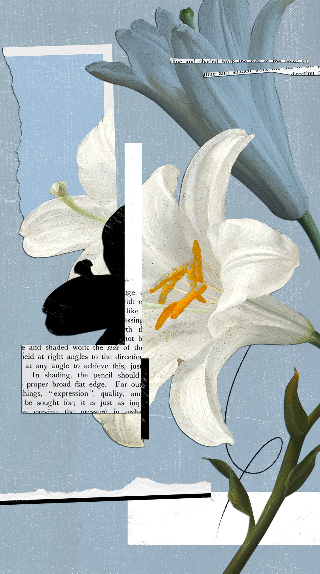 Diptyque animations Beauty stories