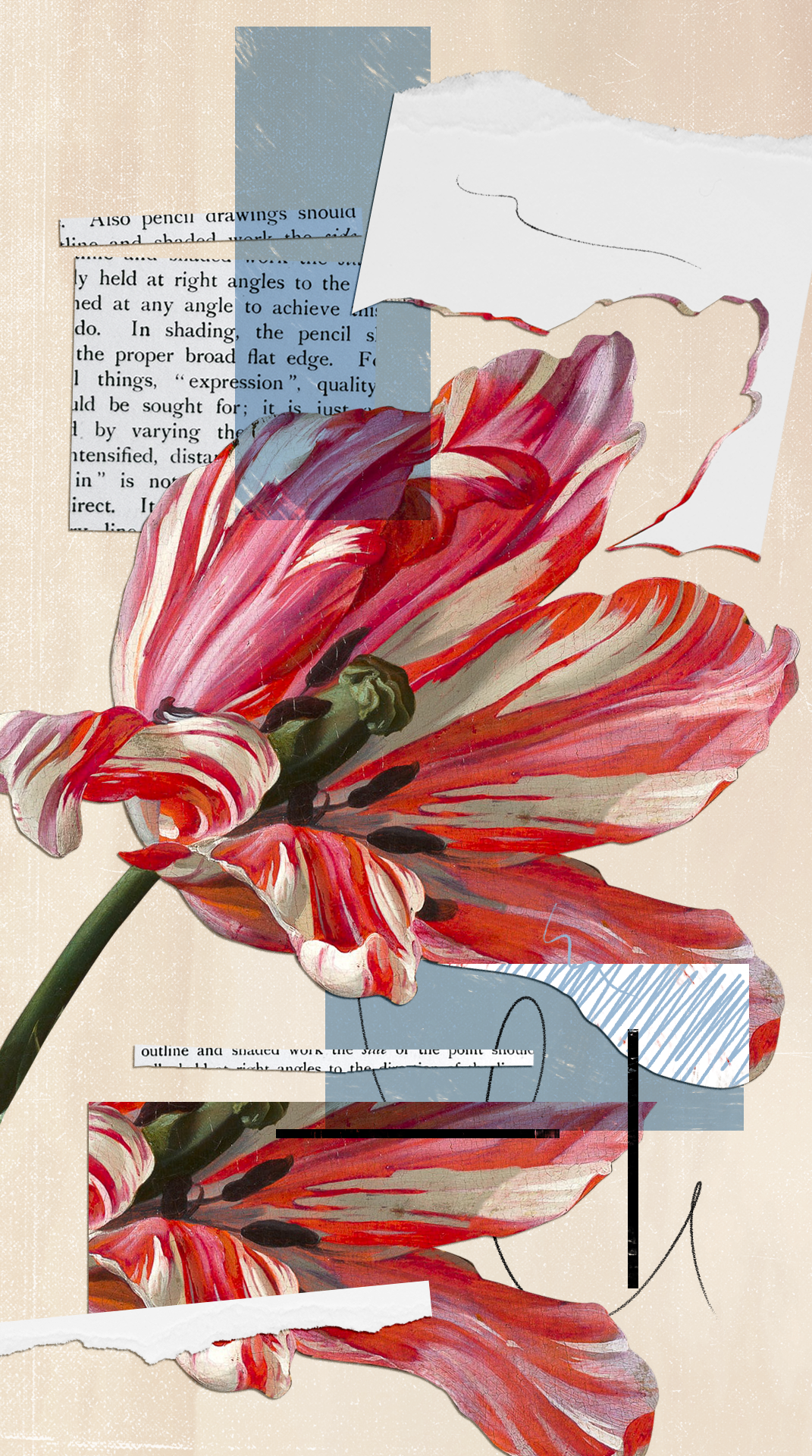 Diptyque animations Beauty stories