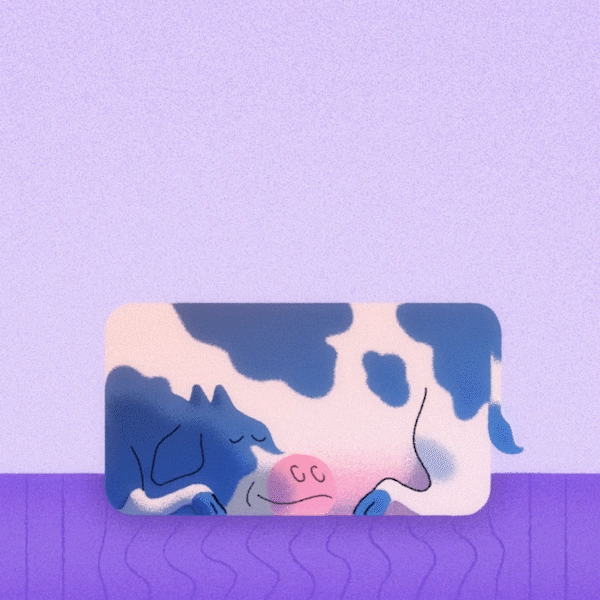 purple mattress animals animation