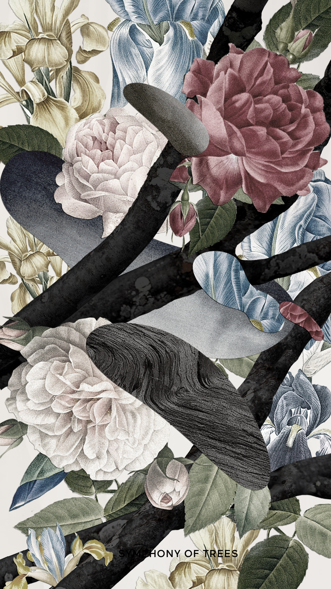 BAUM-animations-collage