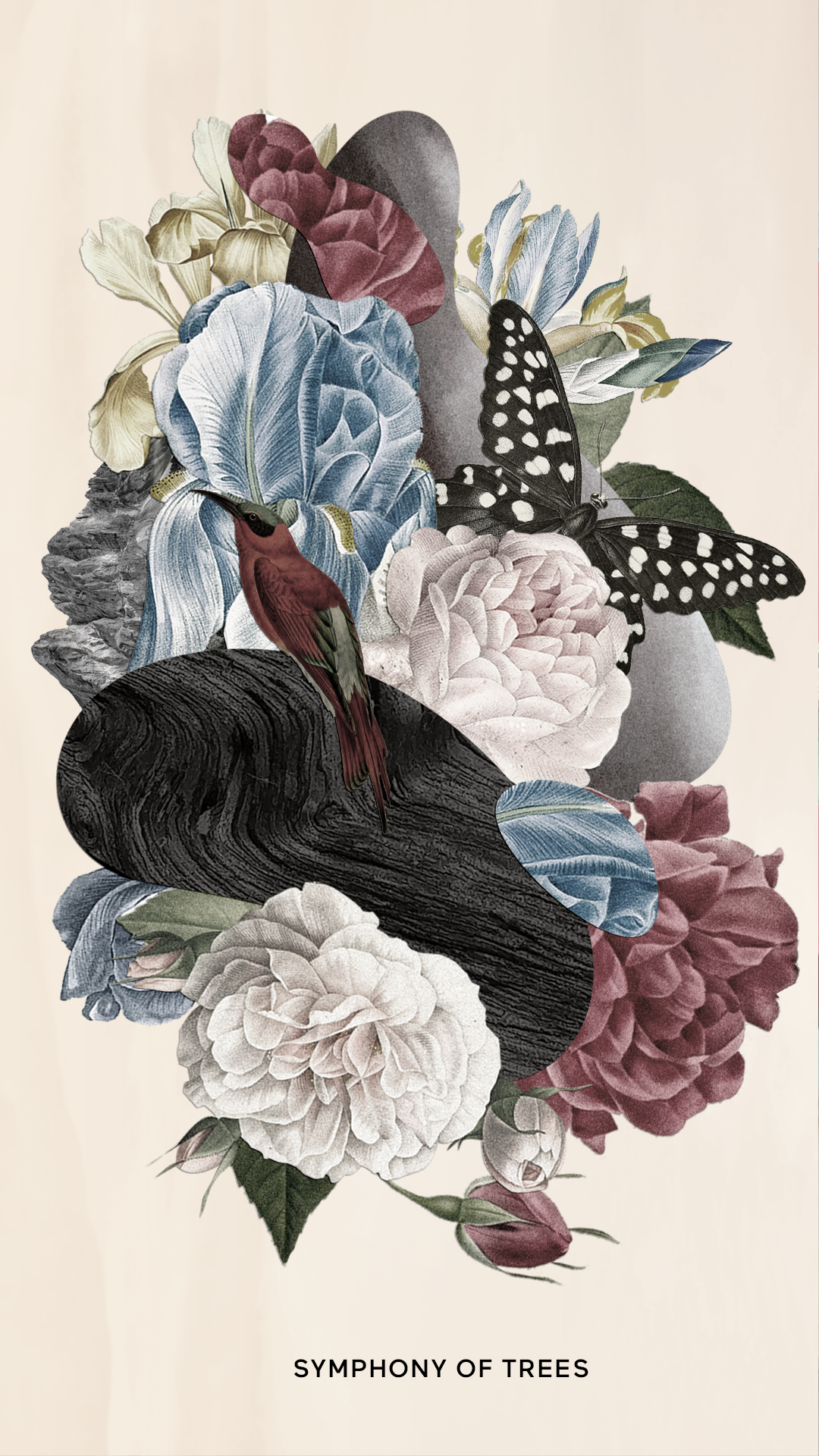 BAUM-animations-collage